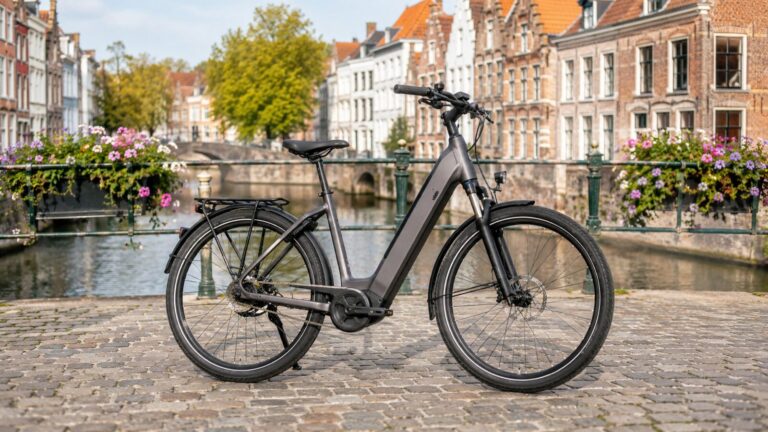 E-Bike als Symbolbild zum Thema vélo électrique